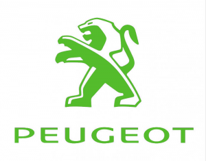 Peugeot Instrumento de vehículos Timingset