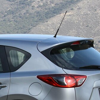 Antena de coche con adaptadores M5 y M6 incluidos.