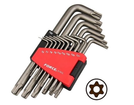 Llave Torx perforado juego 15 codos macho