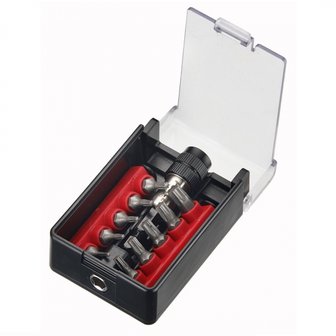 Juego de 11 bits Torx traspasaron