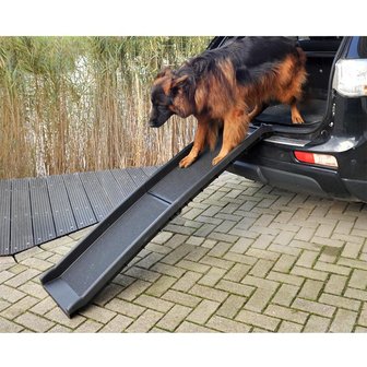 Rampa de coche para perros