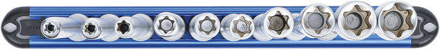 Juego de llaves de vaso E-Torx XXL entrada 10 mm (3/8) E6 - E20 10 piezas