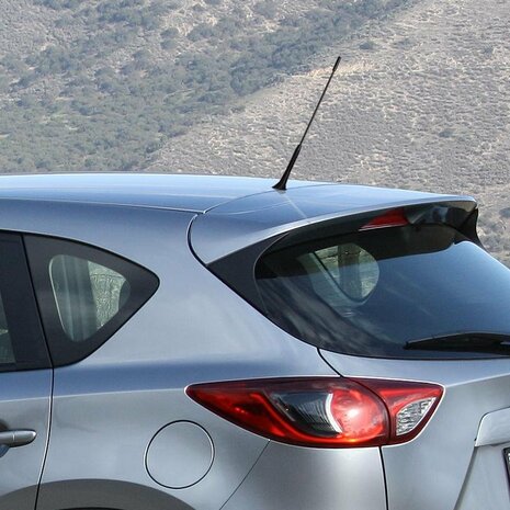 Antena de coche con adaptadores M5 y M6 incluidos.