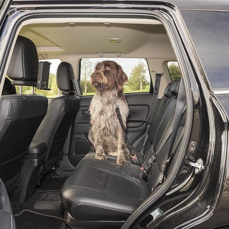 Correa de perro para cinturon de seguridad de coche