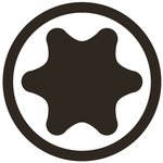 Bit 8 mm (5/16) hexagono externo perfil T (para Torx) T10