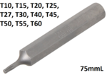 Longitud de la broca 75mmL (3/8) hexagono externo perfil T (para Torx) T10 - T60