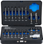 Juego de extractores de tornillos para hexagono interior 1,5 - 10 mm / perfil T (para To
