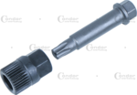 Alternador Zocalo 12mm 33 dientes tuerca tx-star T50