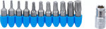 Juego de puntas entrada 6,3 mm (1/4) perfil en T (para Torx) 11 piezas