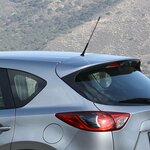Antena de coche con adaptadores M5 y M6 incluidos.