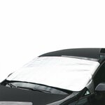Lamina solar antihielo L 85 x 180 cm