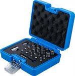 Juego de puntas perfil en TS (para Torx Plus) 23 piezas