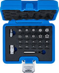 Juego de puntas perfil en TS (para Torx Plus) 23 piezas