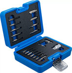 Juego de extractores de tornillos para hexagono interior 1,5 - 10 mm / perfil T (para Torx) T10 - T55 19 piezas