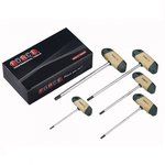 Juego de 5 llaves Torx T-mango