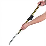 Extractor de arenques extensible