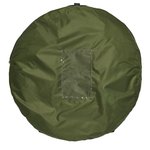 Carpa emergente