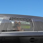 Rejilla de ventilacion de la ventana del automovil