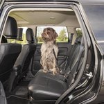 Correa de perro para cinturon de seguridad de coche