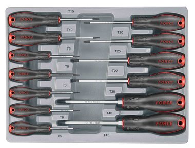 Módulo 13 destornillador para tornillos Torx perforado