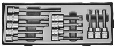 Módulo 12 Torx destornillador enchufes - Hex - 1/2 XZN