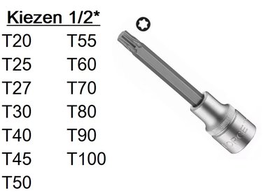 Capuchones de Torx 1/2 (100mmL)