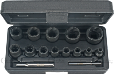 Especialista Llaves de vaso perfil giratorio 15 piezas 1/4+1/2 6-27 mm