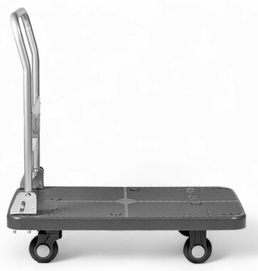 Camion de plataforma de 300 kg