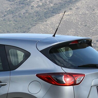 Antena de coche con adaptadores M5 y M6 incluidos.