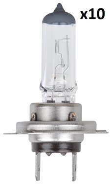Bombilla para coche 12V 55W PX26d H7 en caja