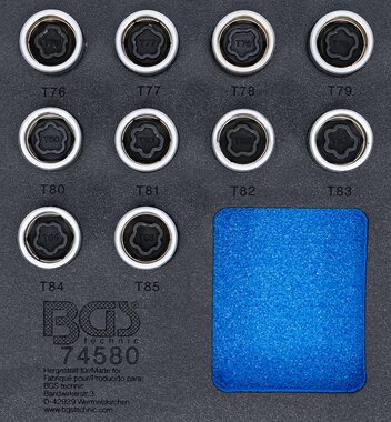 Juego para tuercas de ruedas de Tesla 10 piezas